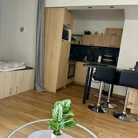 Appartement Renovated Loft Harbor & Within Walking Distance Ac Wi-fi